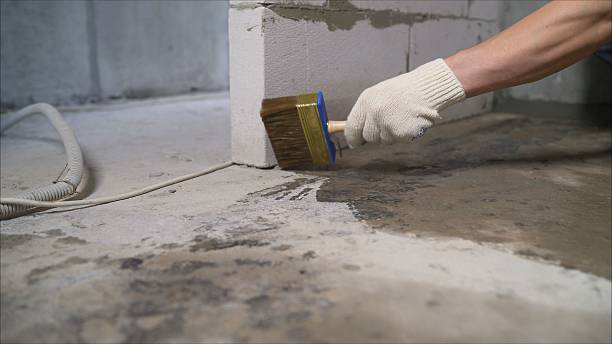 24/7 Emergency Wet Basement Repair experts in Berwyn, IL